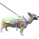 Breathable Dog Cooling Vest for Summer Walks and Outdoor Activities