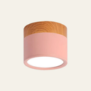 LED Ceiling Lamp - Cylintra - Small Fixture - Cylinder Shape