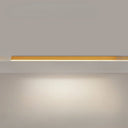 Minimalistyczna lampa sufitowa - Lumecraft - oświetlenie skandynawskie - oświetlenie obudowy