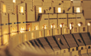 LEGO Colosseum (10276) - RESELL