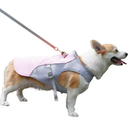 Breathable Dog Cooling Vest for Summer Walks and Outdoor Activities