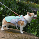Breathable Dog Cooling Vest for Summer Walks and Outdoor Activities