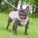 Breathable Dog Cooling Vest for Summer Walks and Outdoor Activities