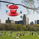Bee-Proof Hanging Hummingbird Nectar Feeder with Perch for Outdoor and Garden Use