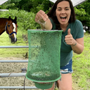 Outdoor Fly Trap for Use in Garden, Farm, and Stable