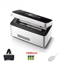 Compact mini cooler for temperature-sensitive items