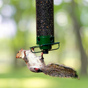 Hanging Wild Bird Feeder with Squirrel Proof Design