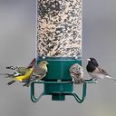 Hanging Wild Bird Feeder with Squirrel Proof Design