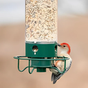 Hanging Wild Bird Feeder with Squirrel Proof Design
