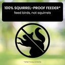 Hanging Wild Bird Feeder with Squirrel Proof Design