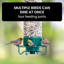 Hanging Wild Bird Feeder with Squirrel Proof Design