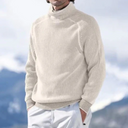 Heren Rollkragenpullover