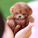 Interactieve Robot Puppy Speelgoed voor Kinderen en Dierenliefhebbers