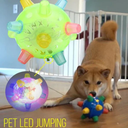 Interactive Jumping Ball for Dogs with Automatic Movement