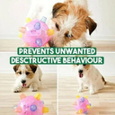 Interactive Jumping Ball for Dogs with Automatic Movement
