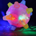 Interactive Jumping Ball for Dogs with Automatic Movement