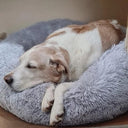 Huisdierenbed - PetRest - Met opstaande randen - Matras voor huisdieren