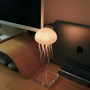 LED Kwallen Nachtlamp met Kleurveranderende RGB Verlichting