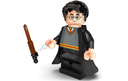 LEGO Harry Potter & Hermione Granger (76393) - RESELL