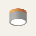 LED Ceiling Lamp - Cylintra - Small Fixture - Cylinder Shape