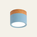LED Ceiling Lamp - Cylintra - Small Fixture - Cylinder Shape