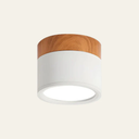 LED Ceiling Lamp - Cylintra - Small Fixture - Cylinder Shape