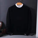 Klassieke pullover voor heren Regular pasvorm