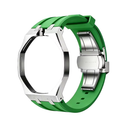 Stainless Steel Watch Conversion Kit with Silicone Strap