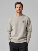 Heren Effen Trui met Ronde Hals en Labeldetail in Beige, voorkant